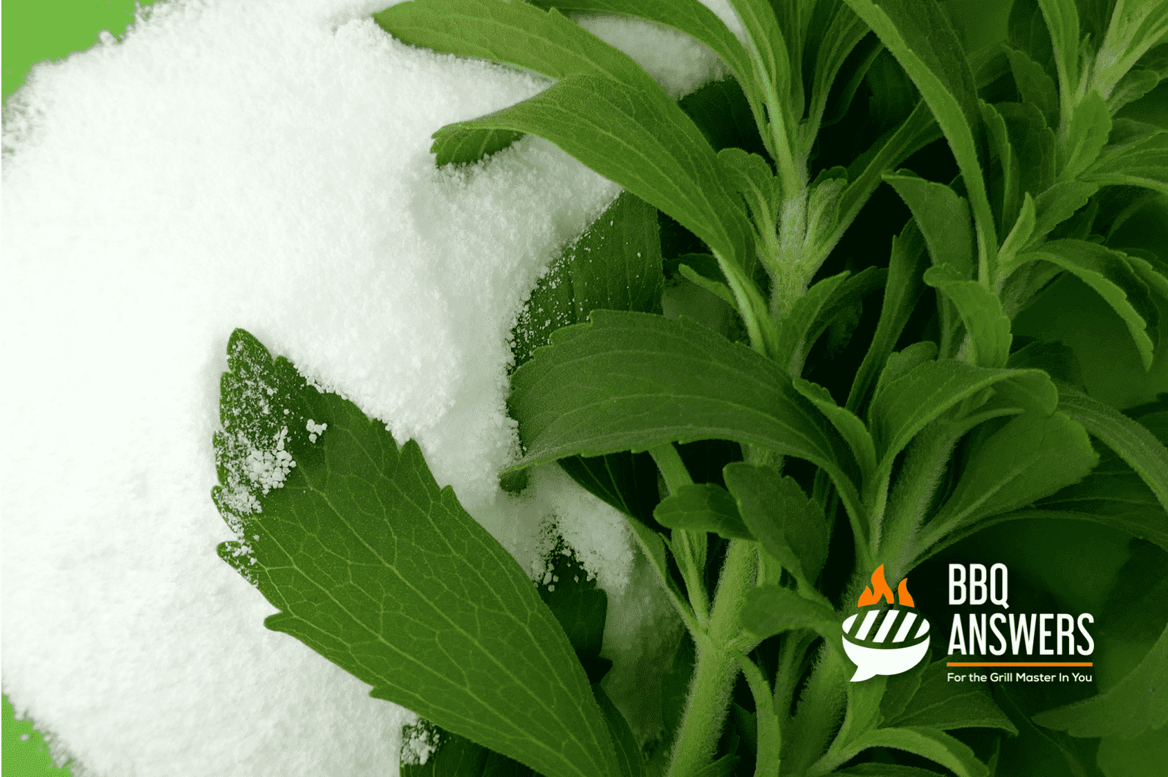 Stevia | Keto BBQ | BBQanswers Stevia | Keto BBQ | BBQanswers