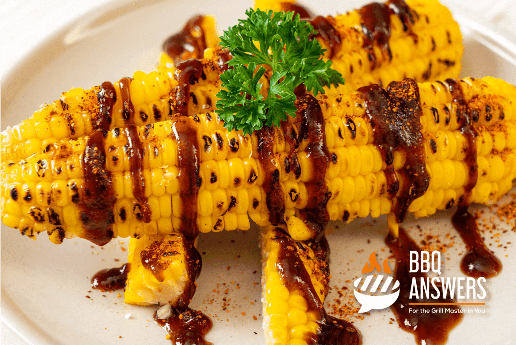 Vegan BBQ Sauce | BBQanswers Vegan BBQ Sauce | BBQanswers
